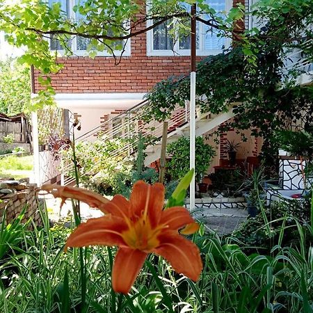 Guest House Meri Poppins Dedoplis Tskaro 외부 사진
