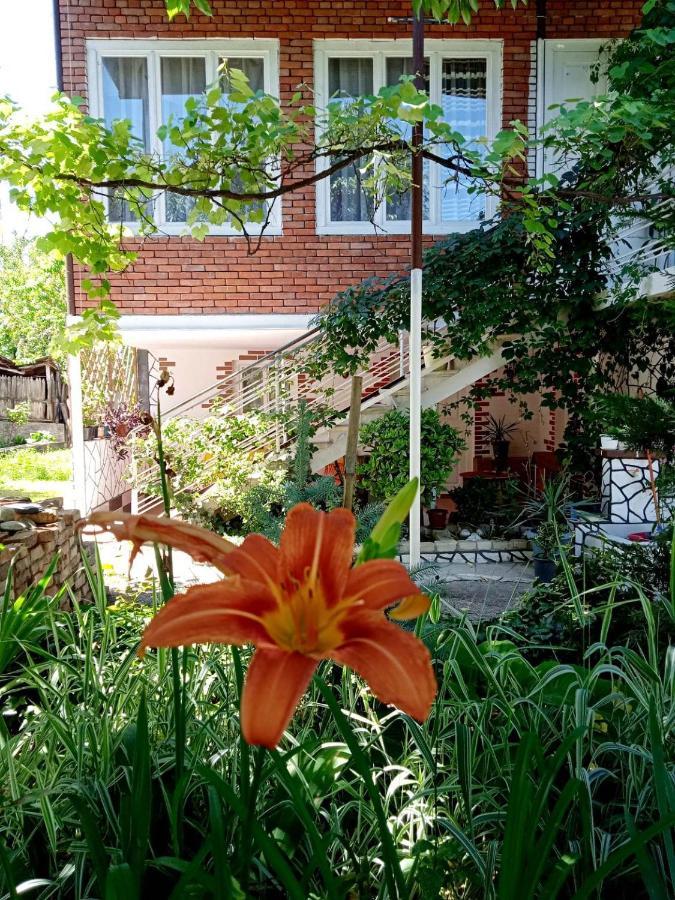 Guest House Meri Poppins Dedoplis Tskaro 외부 사진