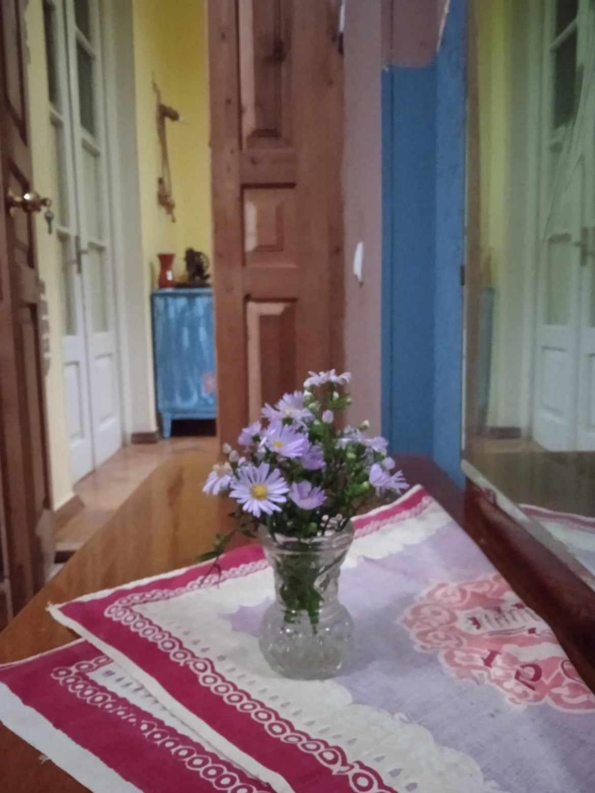 Guest House Meri Poppins Dedoplis Tskaro 외부 사진